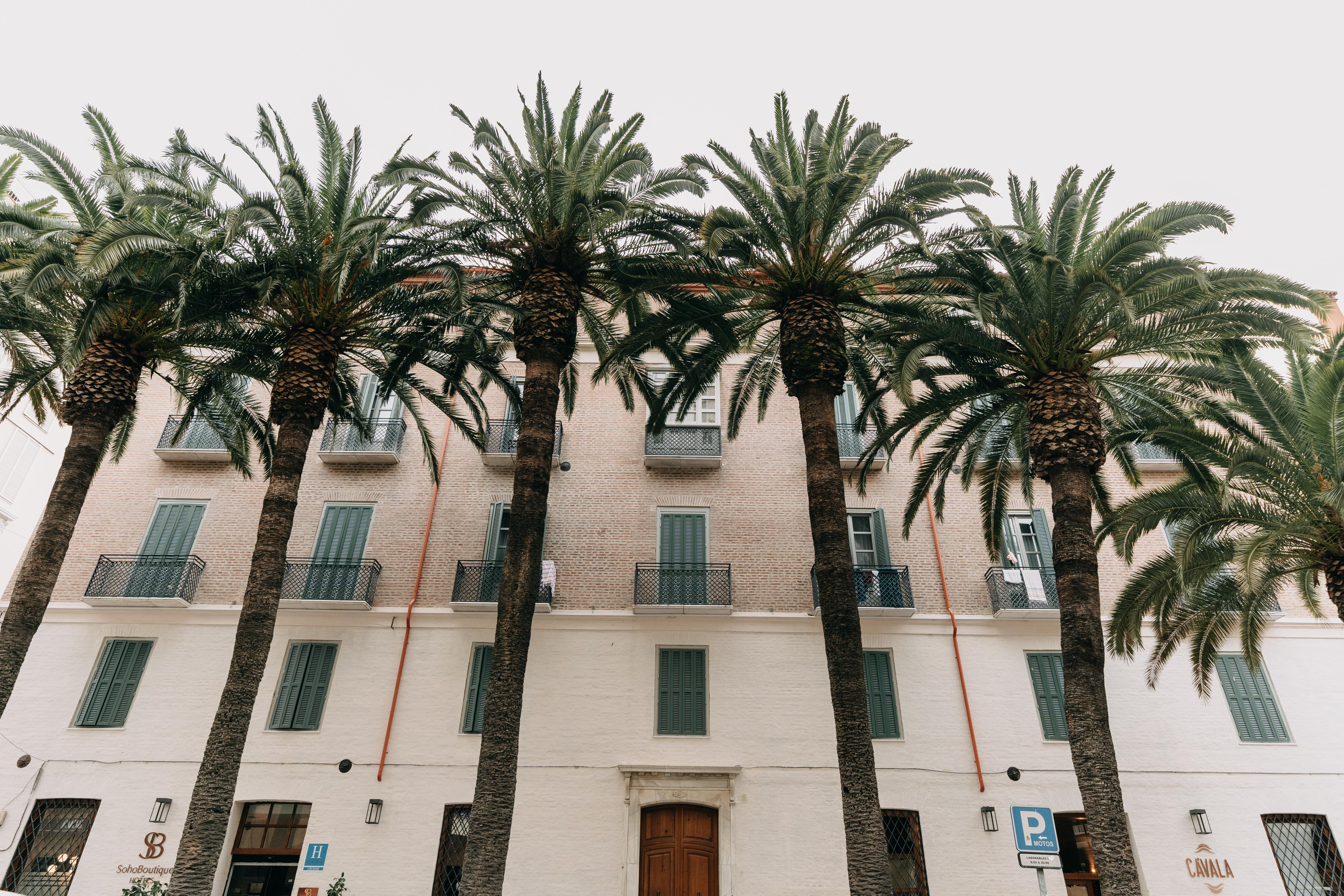 Soho Boutique Colón Málaga Exterior foto